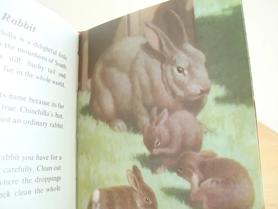 VINTAGE Ladybird - Book of Pets (1967)