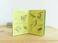 VINTAGE Ladybird book - Butterflies. Moths and Other Insects (1974/5)