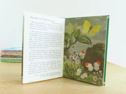 VINTAGE Ladybird book - Butterflies. Moths and Other Insects (1974/5)