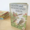 VINTAGE Ladybird book - Heath & Woodland Birds (mid 1970s)