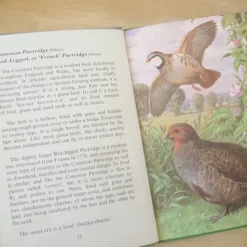 VINTAGE Ladybird book - Heath & Woodland Birds (mid 1970s)