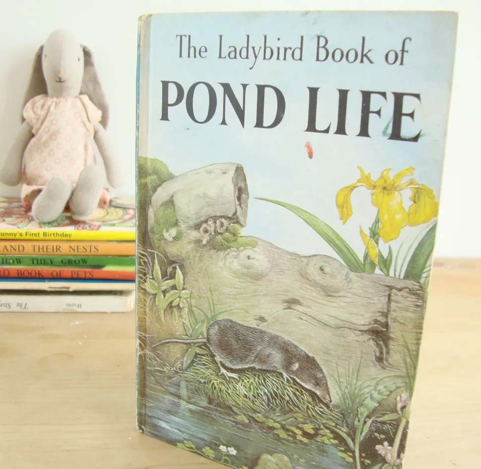 VINTAGE Ladybird book - Pond Life (1966)