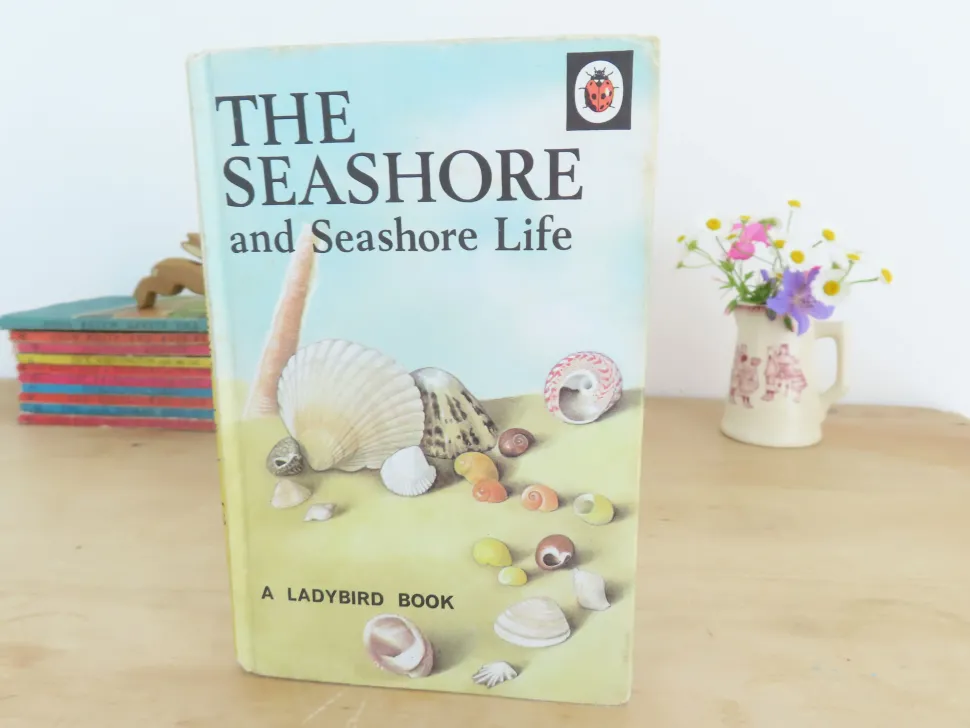 VINTAGE Ladybird book - The Seashore (1970s)