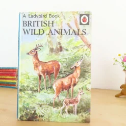 VINTAGE Ladybird book - British Wild Animals (1971)
