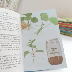 VINTAGE Ladybird book - Indoor Gardening (c.1971)