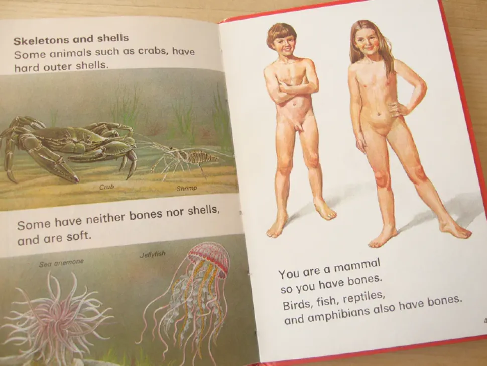 VINTAGE Ladybird book - Living Things (mid-late 1970s)