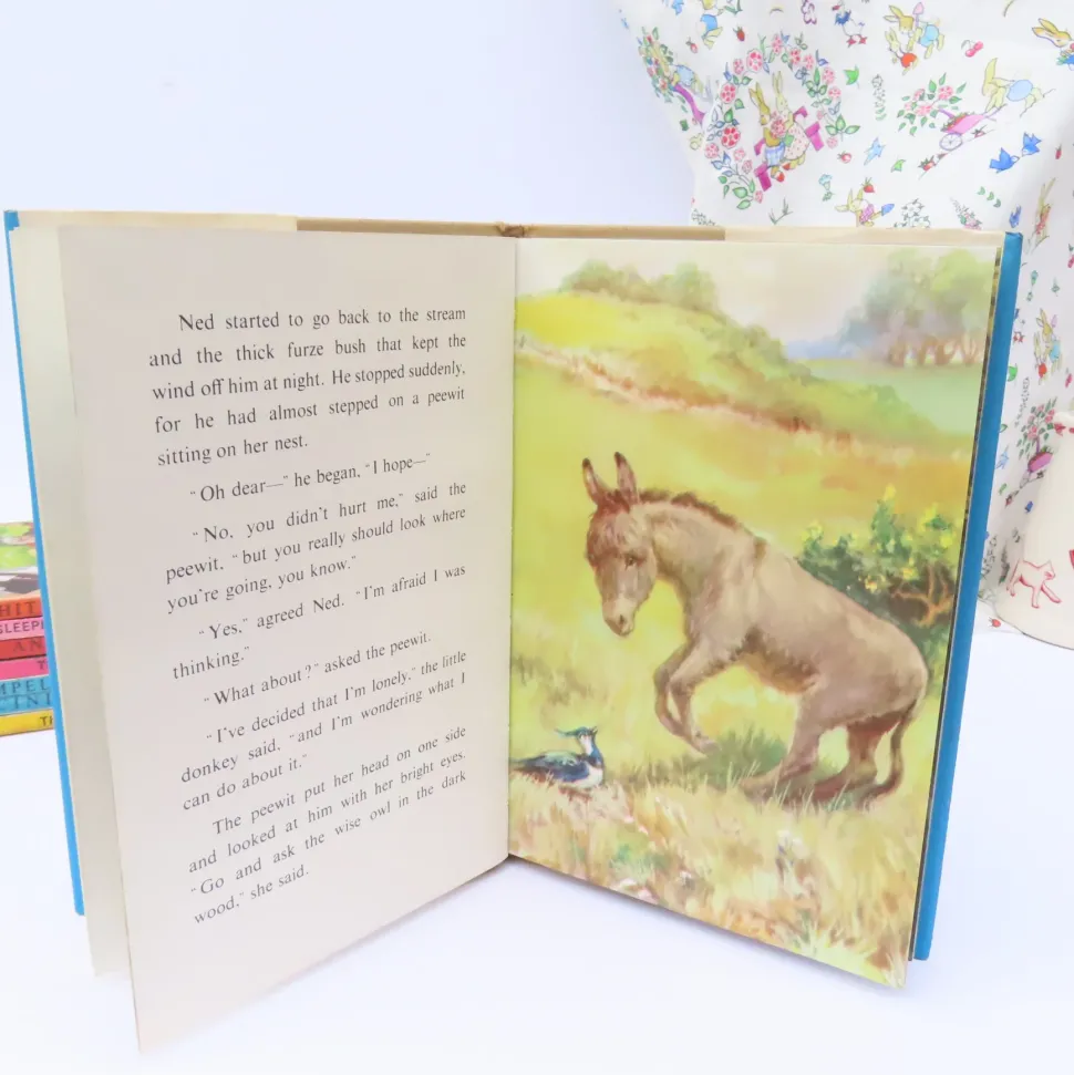 VINTAGE Ladybird book - Ned the Lonely Donkey with DJ (late 1950s)