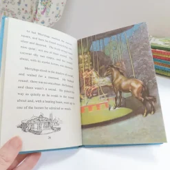 VINTAGE Ladybird book - The Discontented Pony (late 1970s)