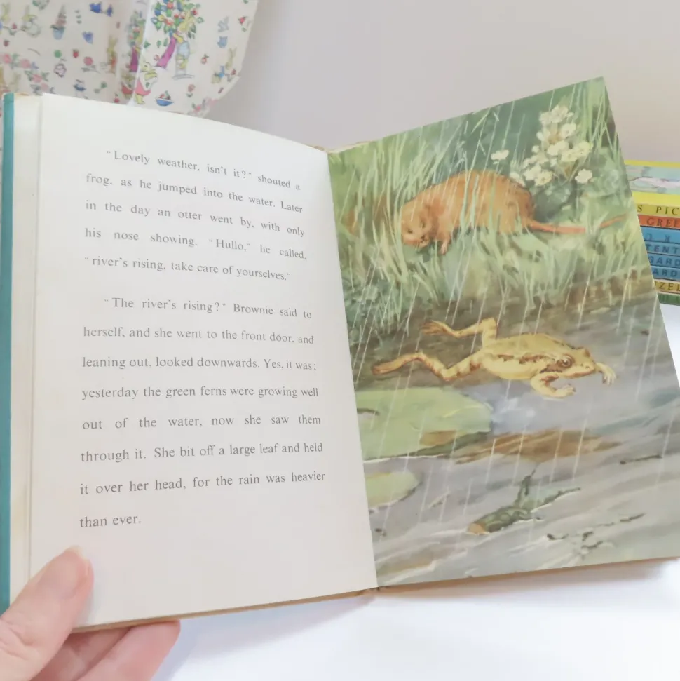 VINTAGE Ladybird book - The Sleepy Water Vole with DJ (late 1950s)